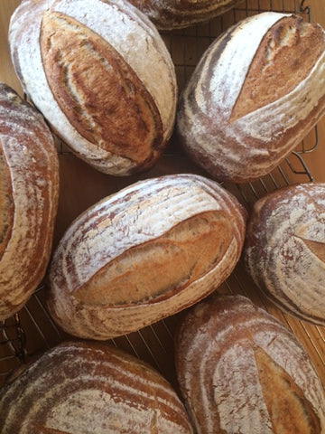School of Bread for Beginners