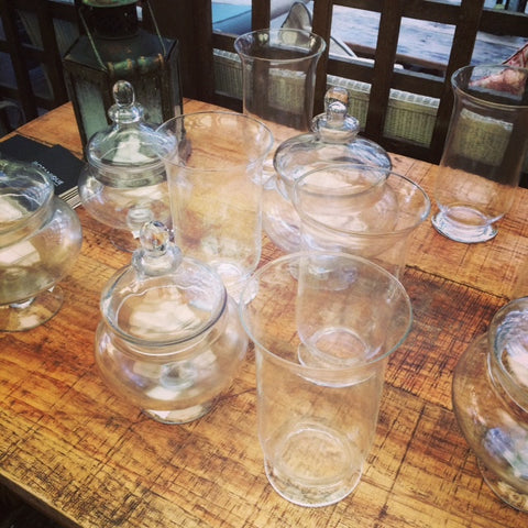 PRIVATE LESSON - Terrarium Design School
