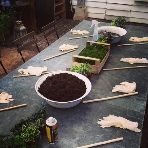 PRIVATE LESSON - Terrarium Design School