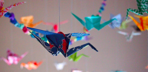 Become an Origami Ninja - For Two