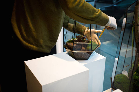 PRIVATE LESSON - Terrarium Design School