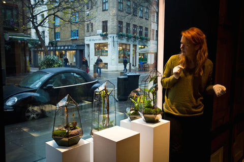 PRIVATE LESSON - Terrarium Design School
