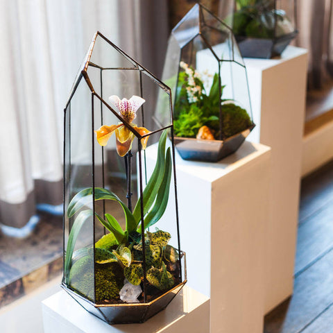 PRIVATE LESSON - Terrarium Design School